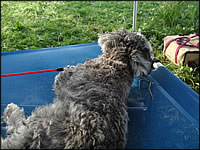 050419camptime.jpg