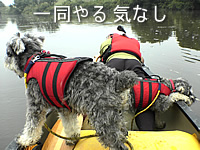050728edogawa.jpg