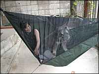 050812henessy.jpg
