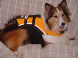 050905-ty.jpg