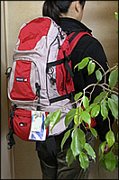 051116millet.jpg