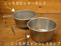 060607cup.jpg
