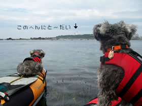 cover060623.jpg