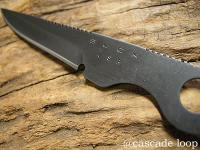 080710buck.jpg