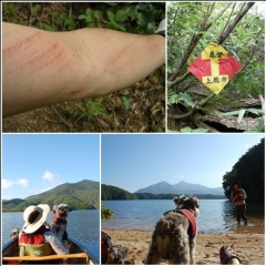 090928page